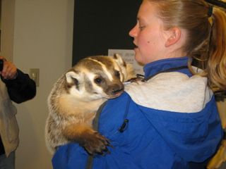 Bonnie 005 Bonnie 005